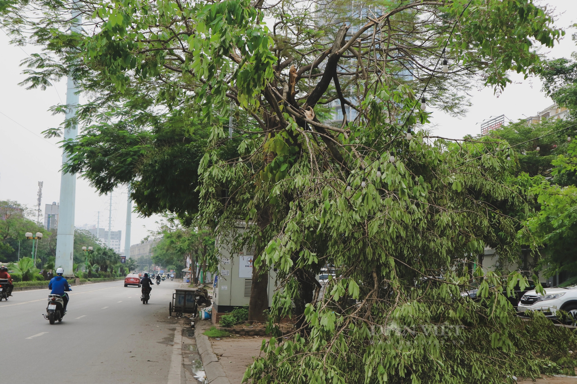 Nhiều ngày sau cơn giông, một số tuyến đường ở Hà Nội vẫn ngổn ngang cây đổ- Ảnh 5.
