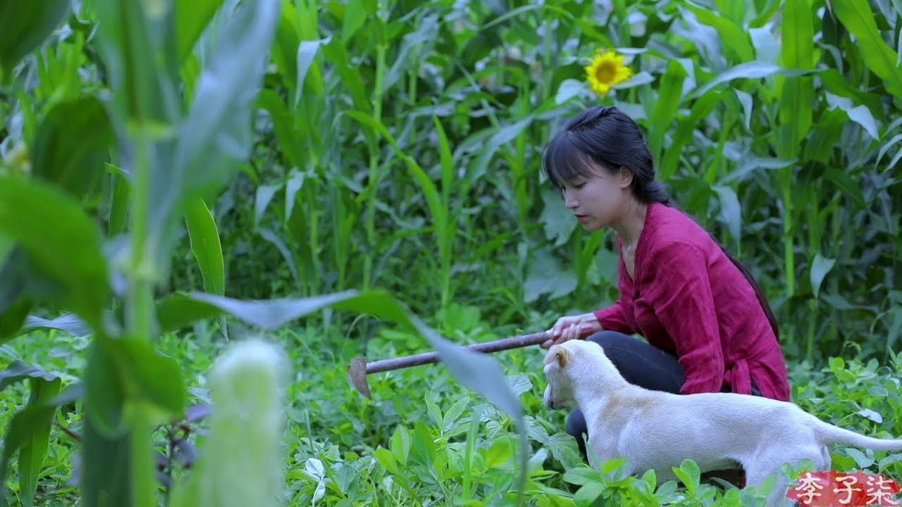 Vì sao "Văn học nông thôn" thu hút khán giả trẻ Trung Quốc?- Ảnh 2.