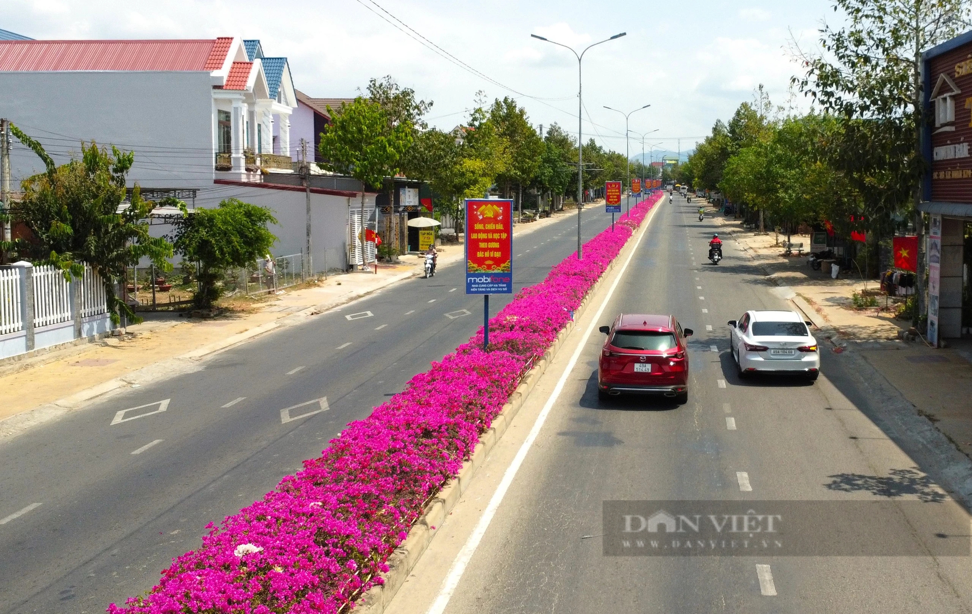 Đường hoa giấy đẹp như phim ở một huyện của Ninh Thuận, dân tình tha hồ chụp hình khoe "phây"- Ảnh 1.