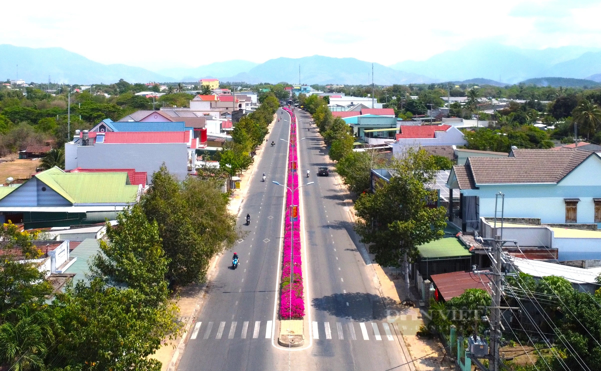 Đường hoa giấy đẹp như phim ở một huyện của Ninh Thuận, dân tình tha hồ chụp hình khoe "phây"- Ảnh 3.