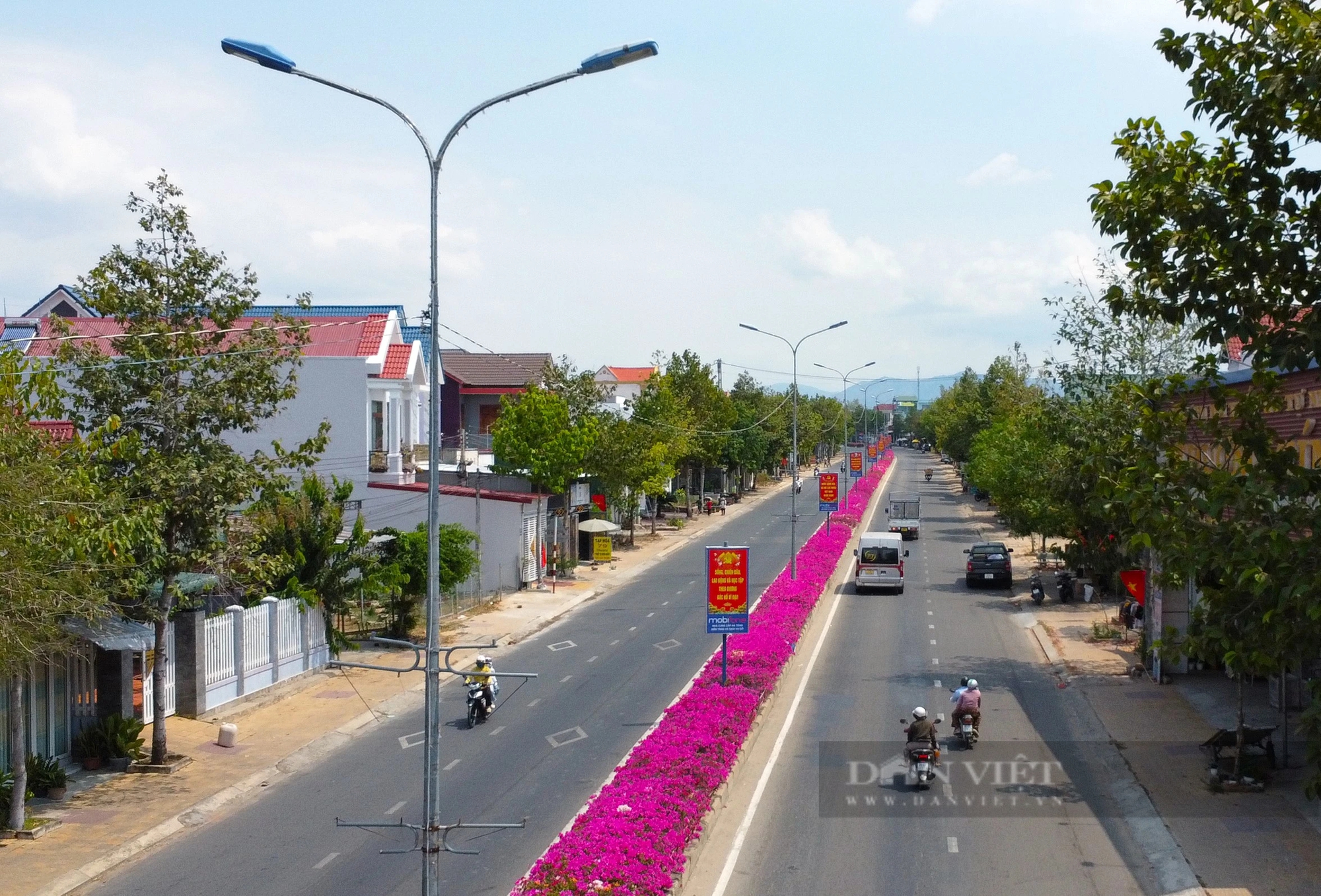 Đường hoa giấy đẹp như phim ở một huyện của Ninh Thuận, dân tình tha hồ chụp hình khoe "phây"- Ảnh 7.