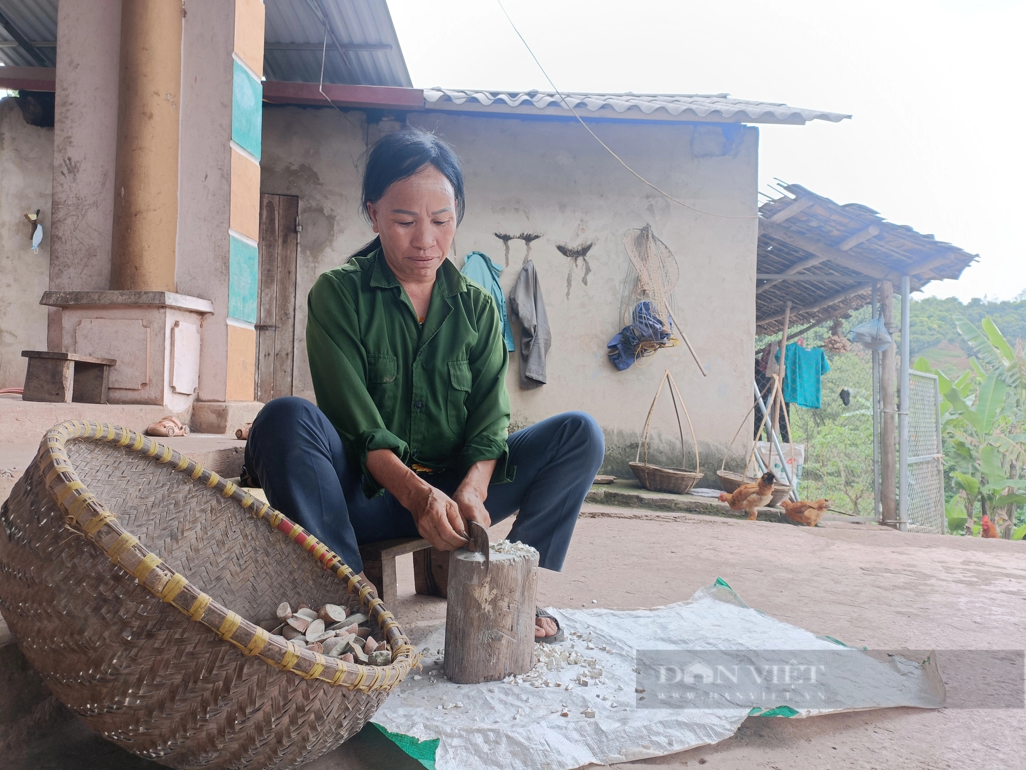 Người dân làm đủ mọi cách nhưng vải thiều vẫn không ra hoa, tỉnh Bắc Giang thất thu 100.000 tấn vải- Ảnh 2.