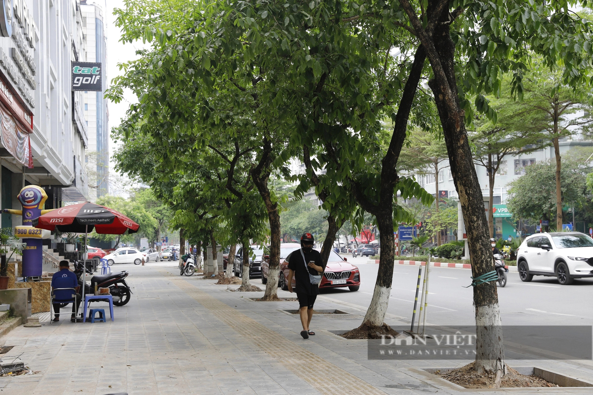 Hàng loạt cây xanh nhô cao rễ sau cải tạo vỉa hè, mùa mưa bão cực kỳ nguy hiểm ở Hà Nội- Ảnh 6.