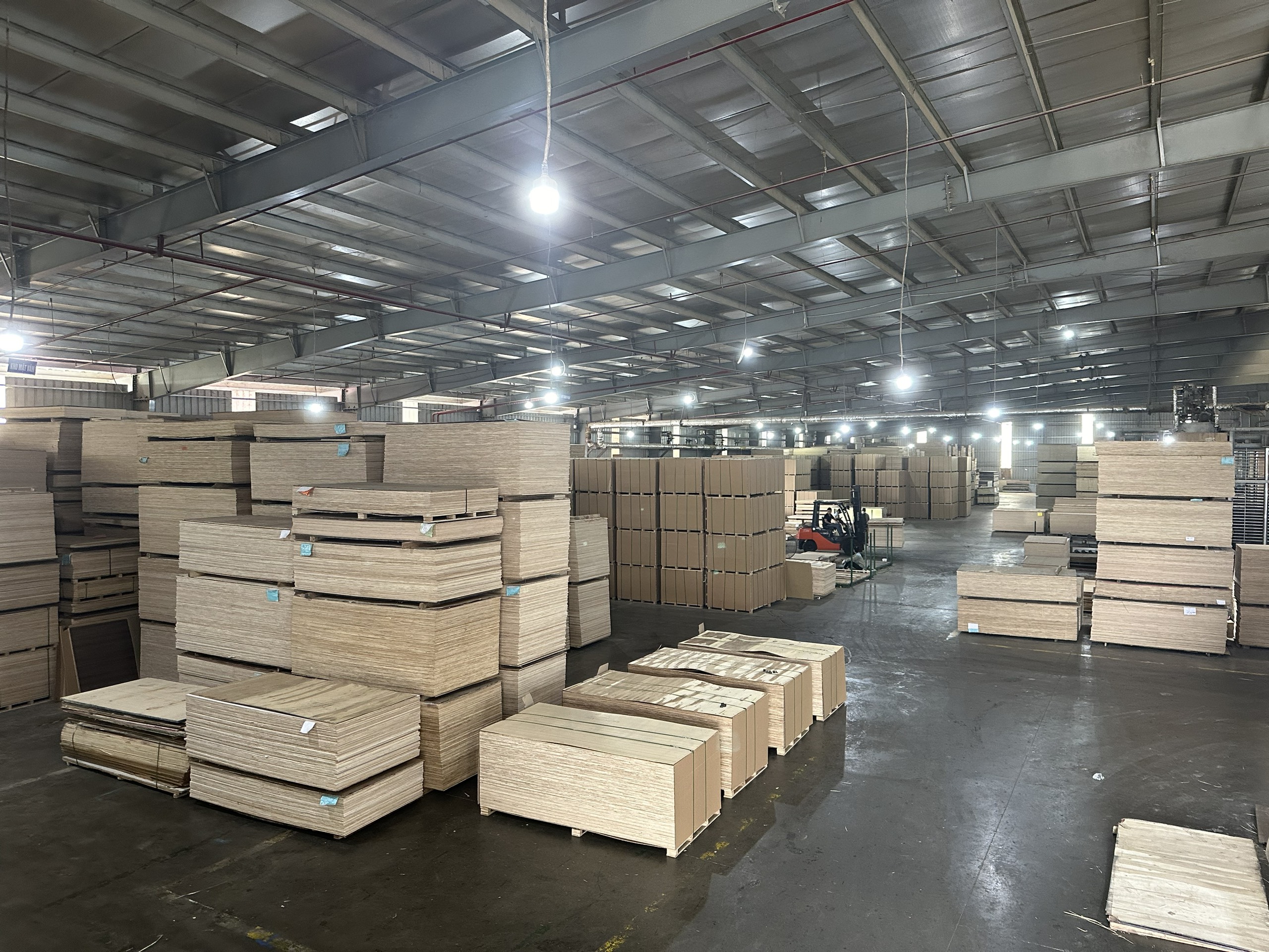 Đang bán hàng trăm triệu USD loại gỗ ván ép sang Hàn Quốc, 152 doanh nghiệp lo phải đóng cửa vì mức thuế quá cao- Ảnh 1.