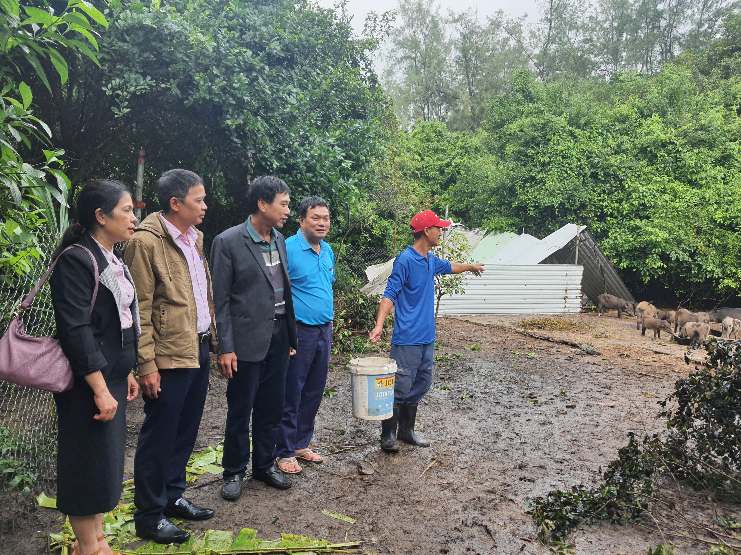 Quảng Nam: Tín dụng chính sách góp phần giúp kinh tế thị xã Điện Bàn phát triển bền vững - Ảnh 5.