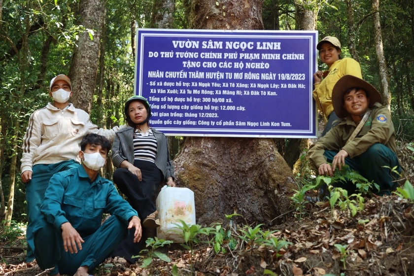 Ở khu rừng nổi tiếng Kon Tum, dân trồng thứ cây gì mà lấy lưới thép B40 rào kín, gùi nước suối lên tưới?- Ảnh 1.