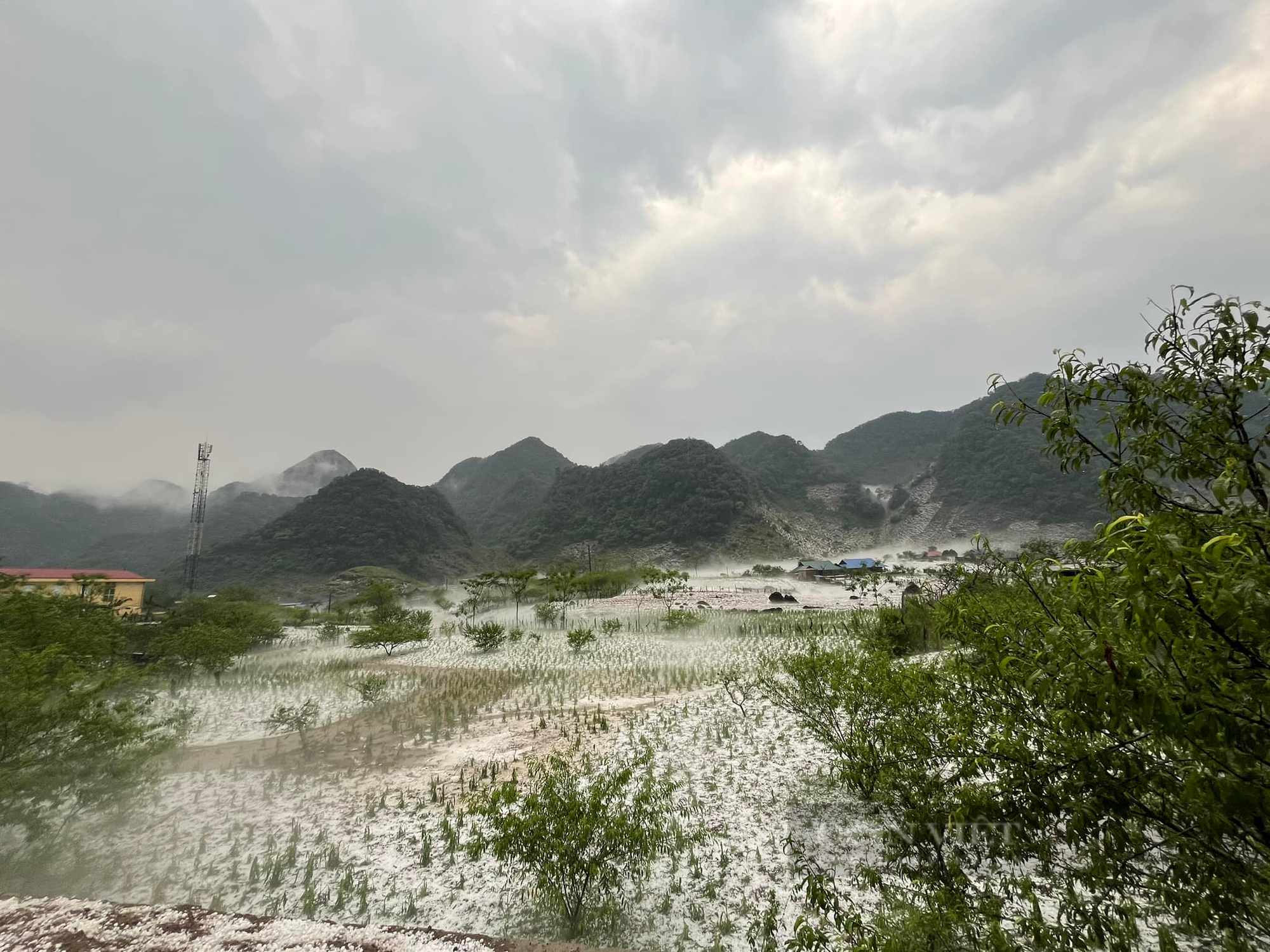 Sơn La: Mưa đá trắng trời, trắng đất ở huyện vùng cao Vân Hồ- Ảnh 1.