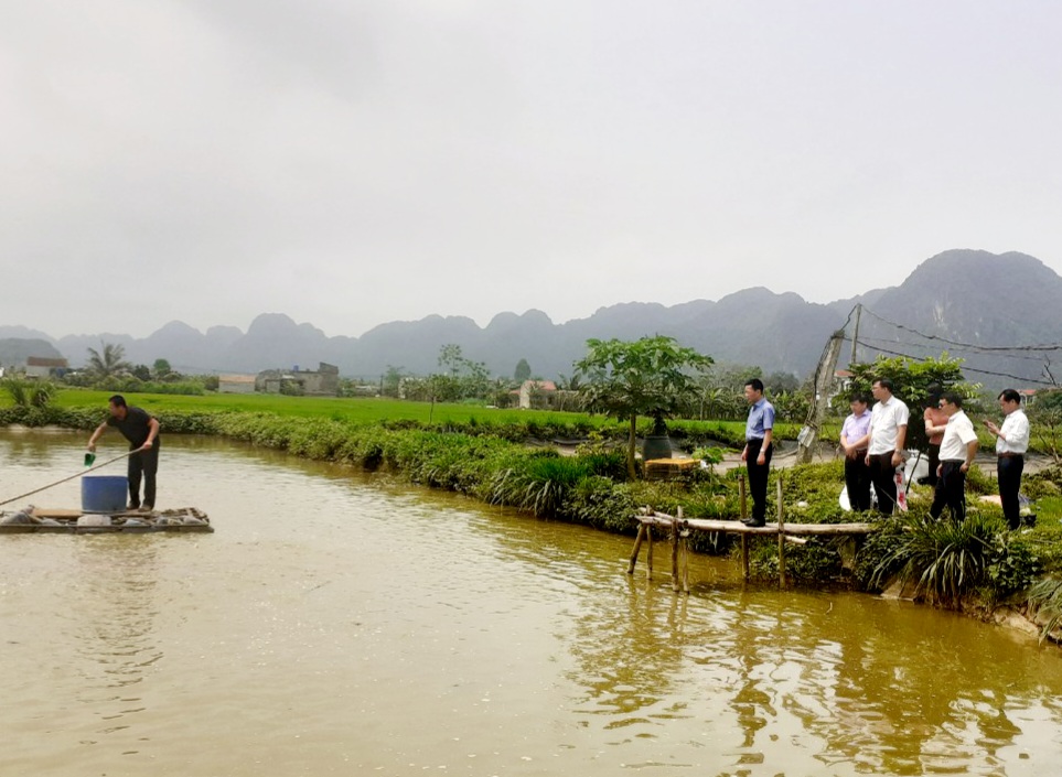 Trung ương Hội Nông dân Việt Nam kiểm tra, giám sát xây dựng nông thôn mới tại Ninh Bình- Ảnh 5.