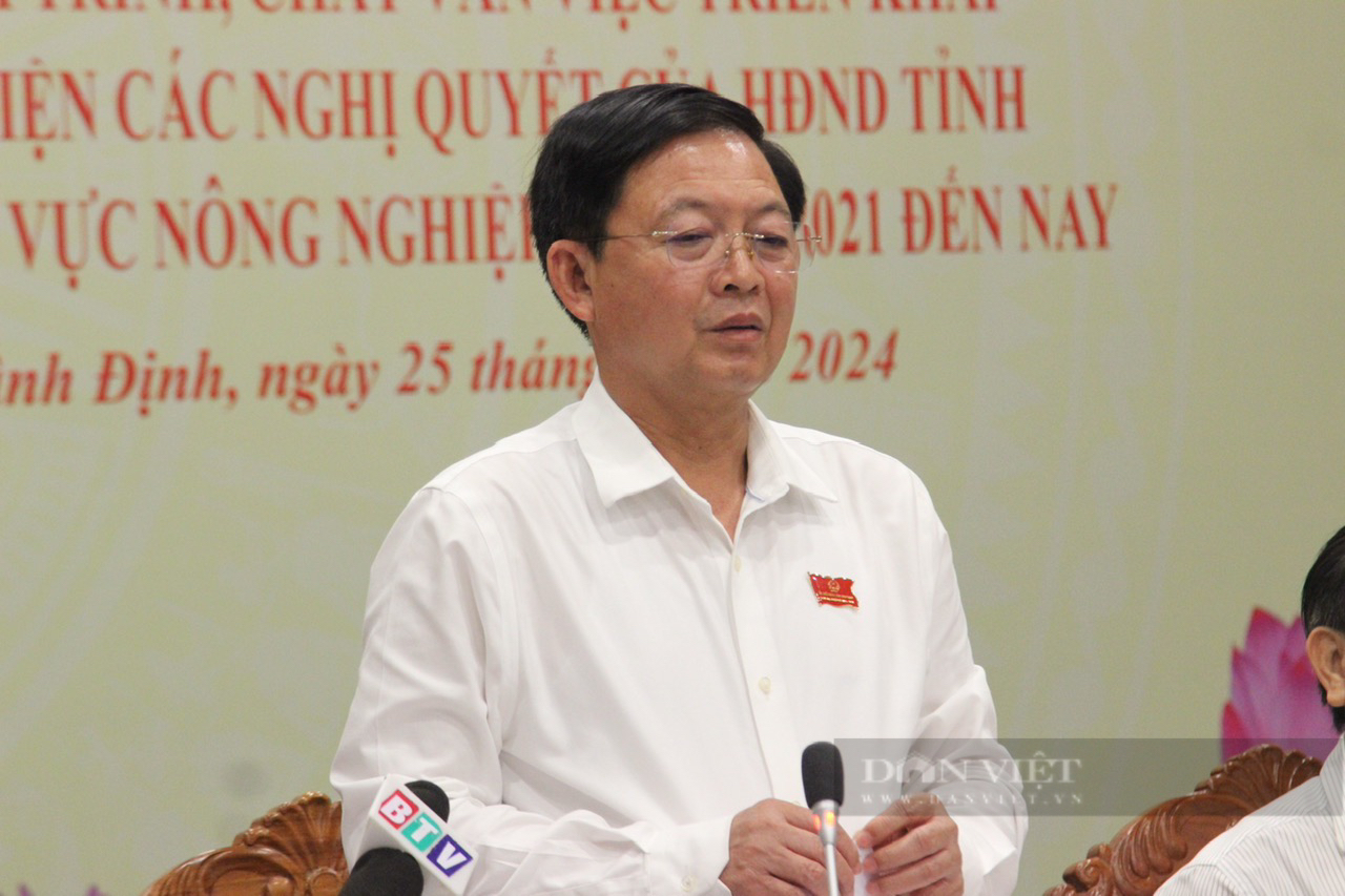 HĐND tỉnh Bình Định ban hành chính sách khuyến khích nuôi gà thả đồi, sau 2 năm tại sao chỉ có 7 hộ tham gia?- Ảnh 2.