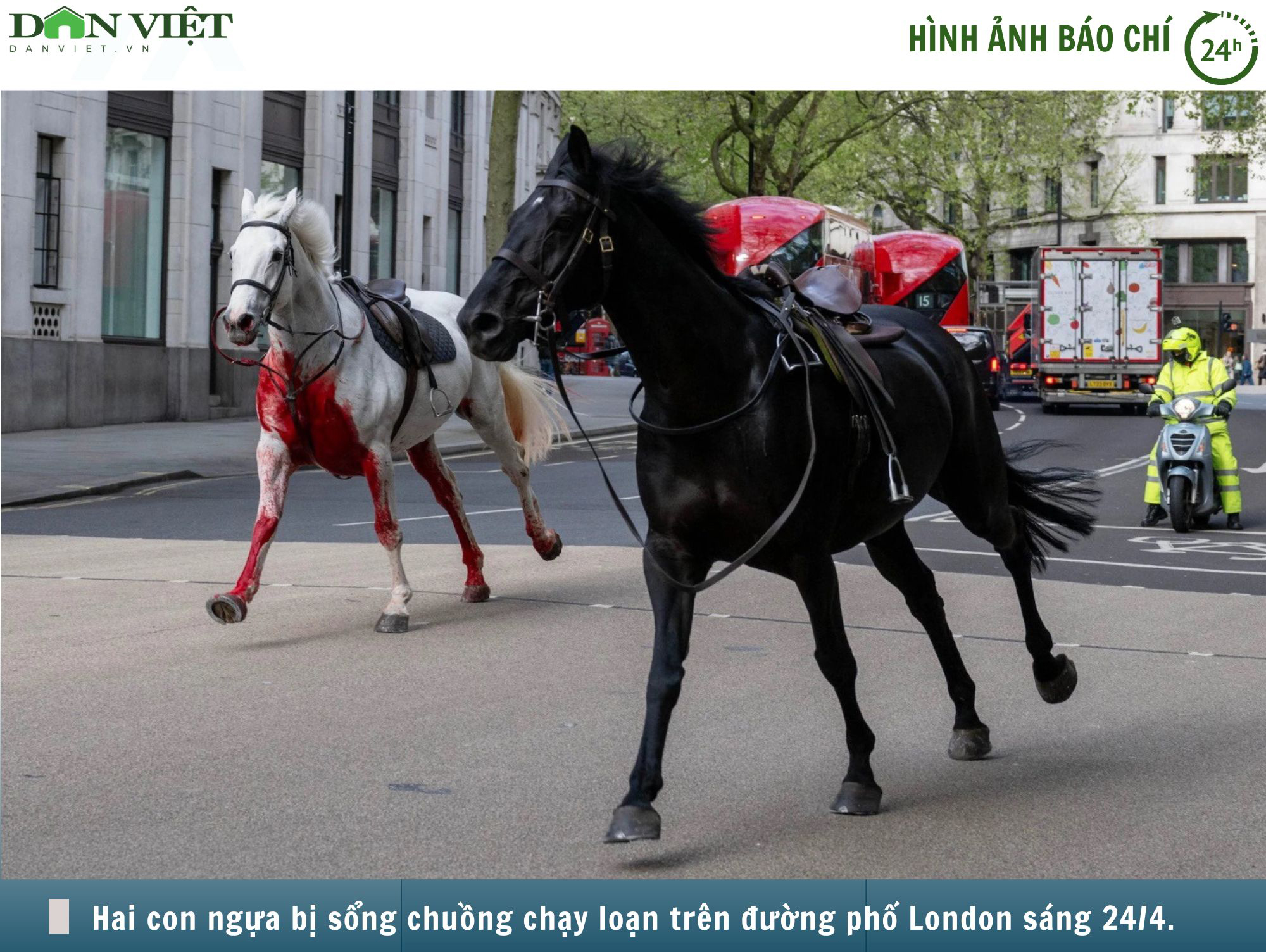 Hình ảnh báo chí 24h: Ngựa kỵ binh Anh sổng chuồng, làm loạn đường phố, nhiều người bị thương- Ảnh 1.