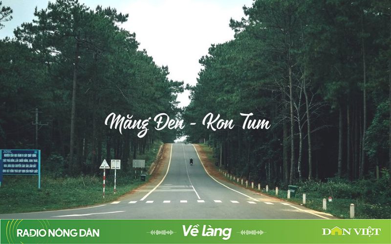 Bạn đã đến Măng Đen chưa?- Ảnh 1.