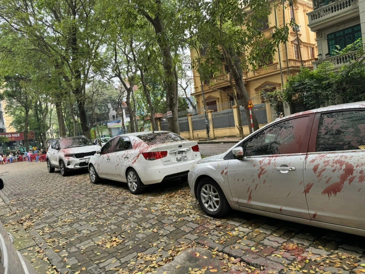 Hàng loạt ô tô đỗ trên vỉa hè ở quận Hoàng Mai (Hà Nội) bị tạt sơn đỏ- Ảnh 1.