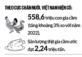 Mỗi tháng Việt Nam có thể xuất khẩu 1.000 tấn thịt gà sang các nước Hồi giáo- Ảnh 2.