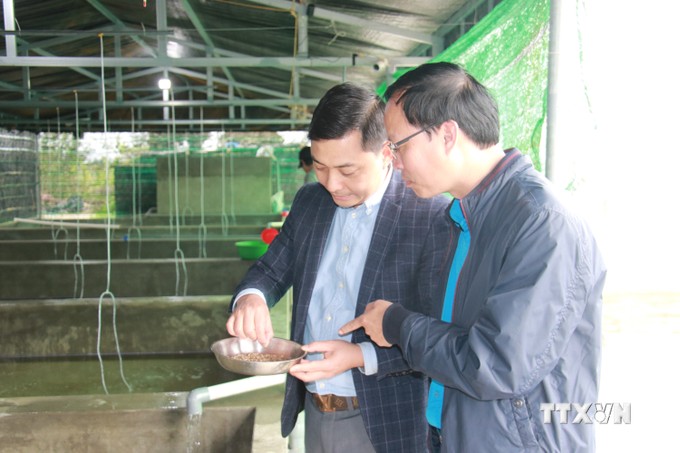 Ở vùng ven biển Nam Định, dân nuôi con ốc đặc sản này, cứ 1ha bắt lên 50 tấn, bán 250.000-350.000 đồng/kg- Ảnh 3.