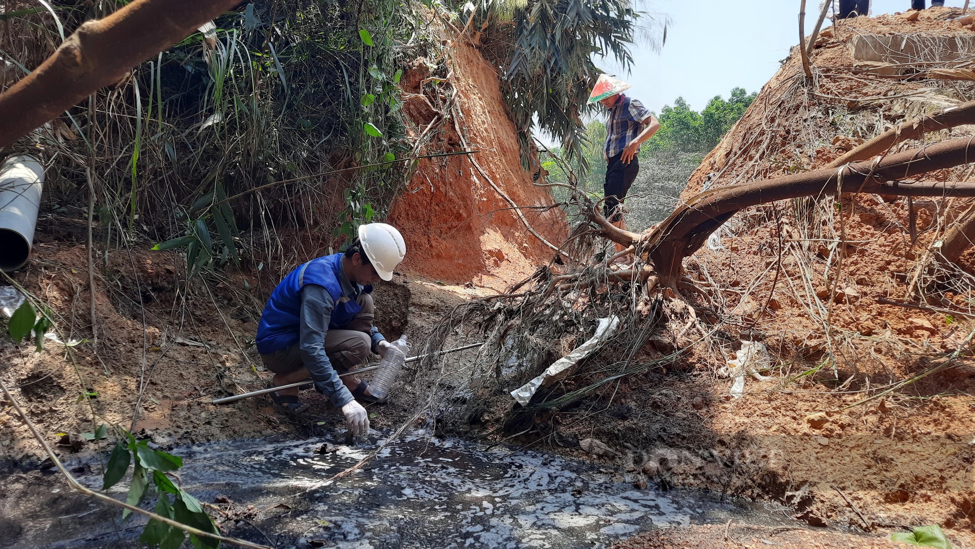 Xử phạt chủ trang trại nuôi lợn xả thải trái phép ở Quảng Trị khiến cá chết hàng loạt- Ảnh 1.