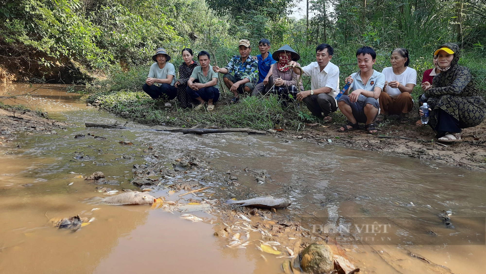 Xử phạt chủ trang trại nuôi lợn xả thải trái phép ở Quảng Trị khiến cá chết hàng loạt- Ảnh 2.