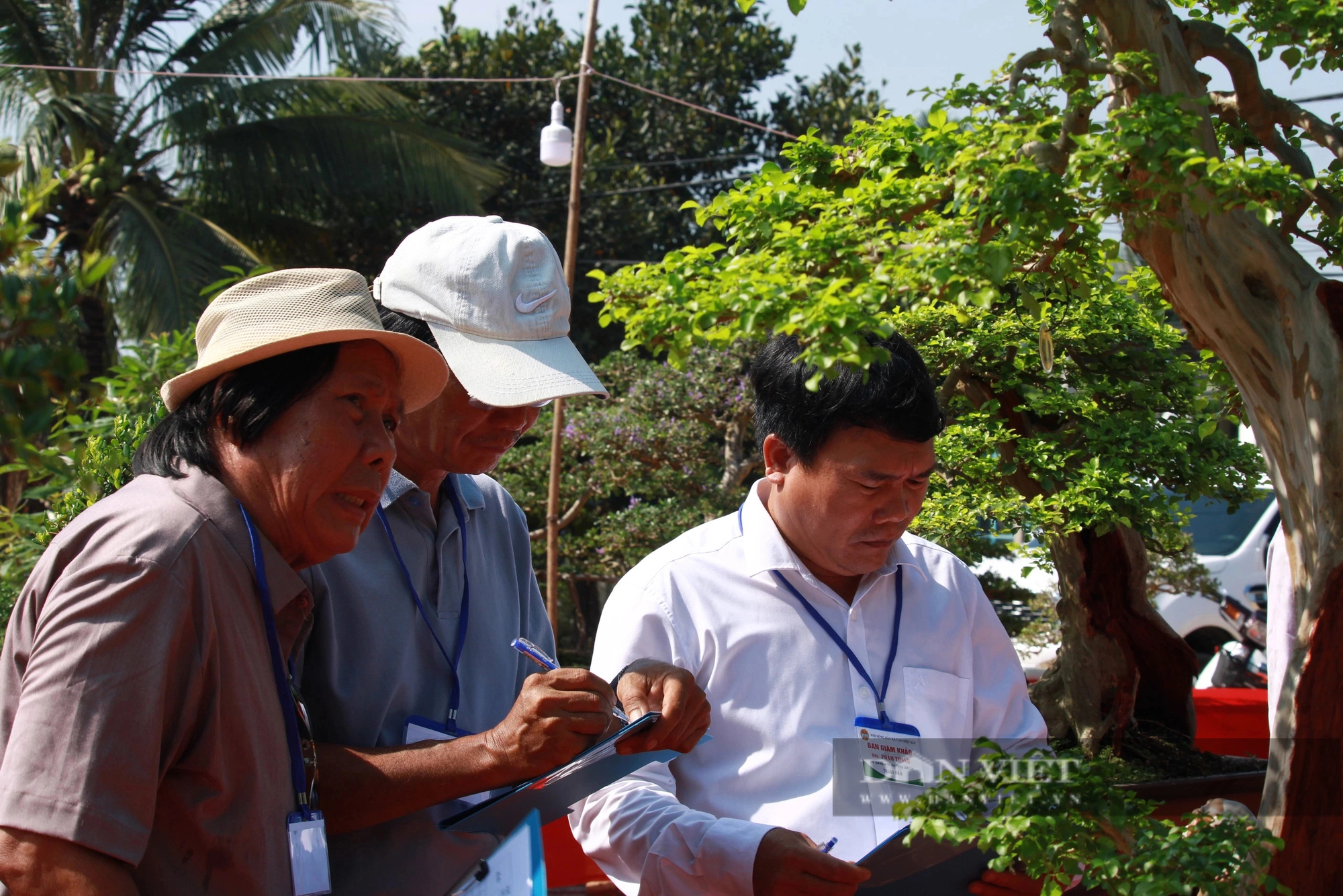 Hàng chục cây cảnh bonsai dáng độc, thế lạ so tài ở Khánh Hòa, dân đi xem trầm trồ- Ảnh 3.
