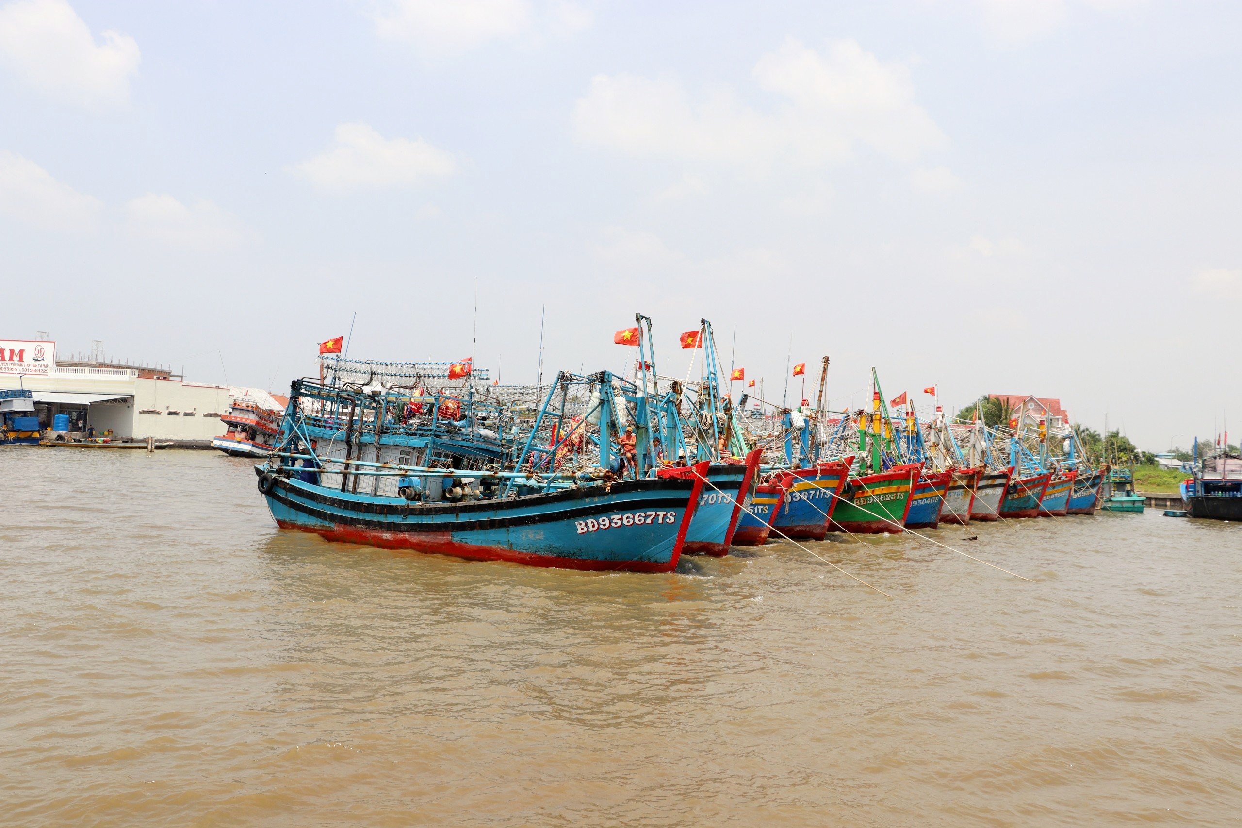 Hành trình gỡ thẻ vàng IUU: Cà Mau nỗ lực số hóa tàu cá (Bài 4)- Ảnh 1.