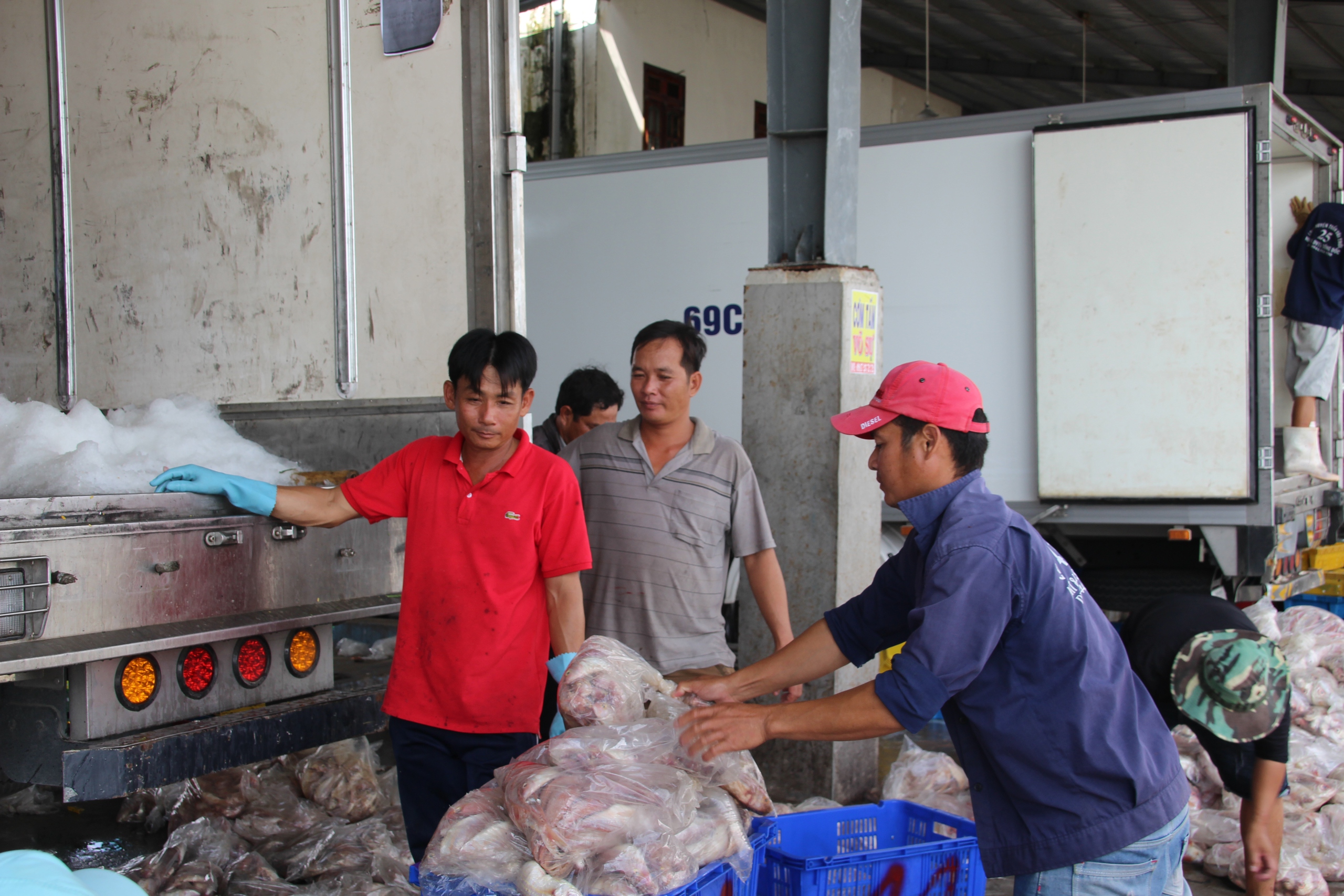 Hành trình gỡ thẻ vàng IUU: Cà Mau nỗ lực số hóa tàu cá (Bài 4)- Ảnh 2.