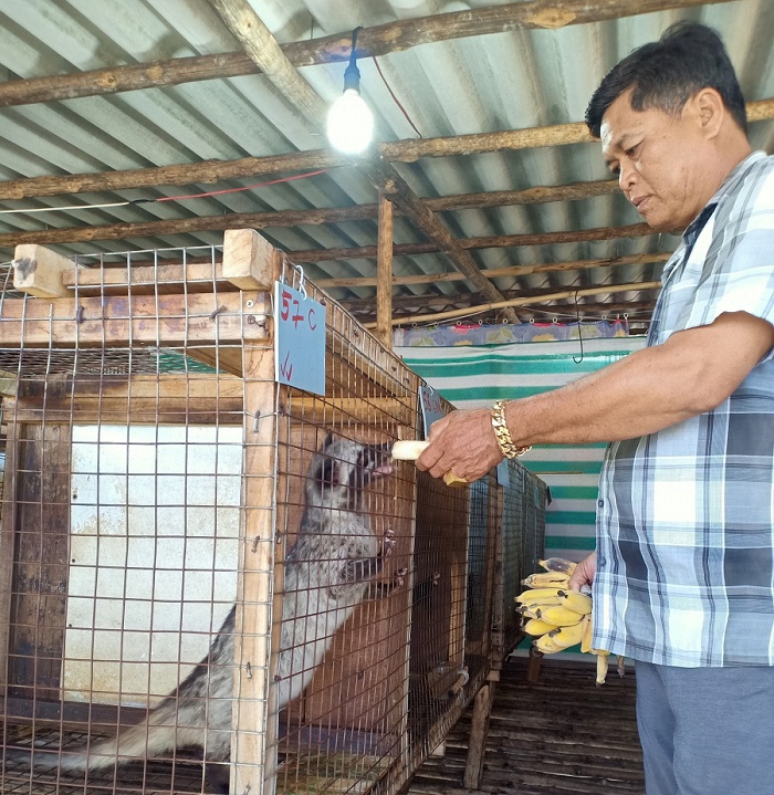 Một nông dân Cà Mau cứ đút chuối chín cho một con động vật nuôi trong lồng, bán 5,5 triệu/con- Ảnh 4.