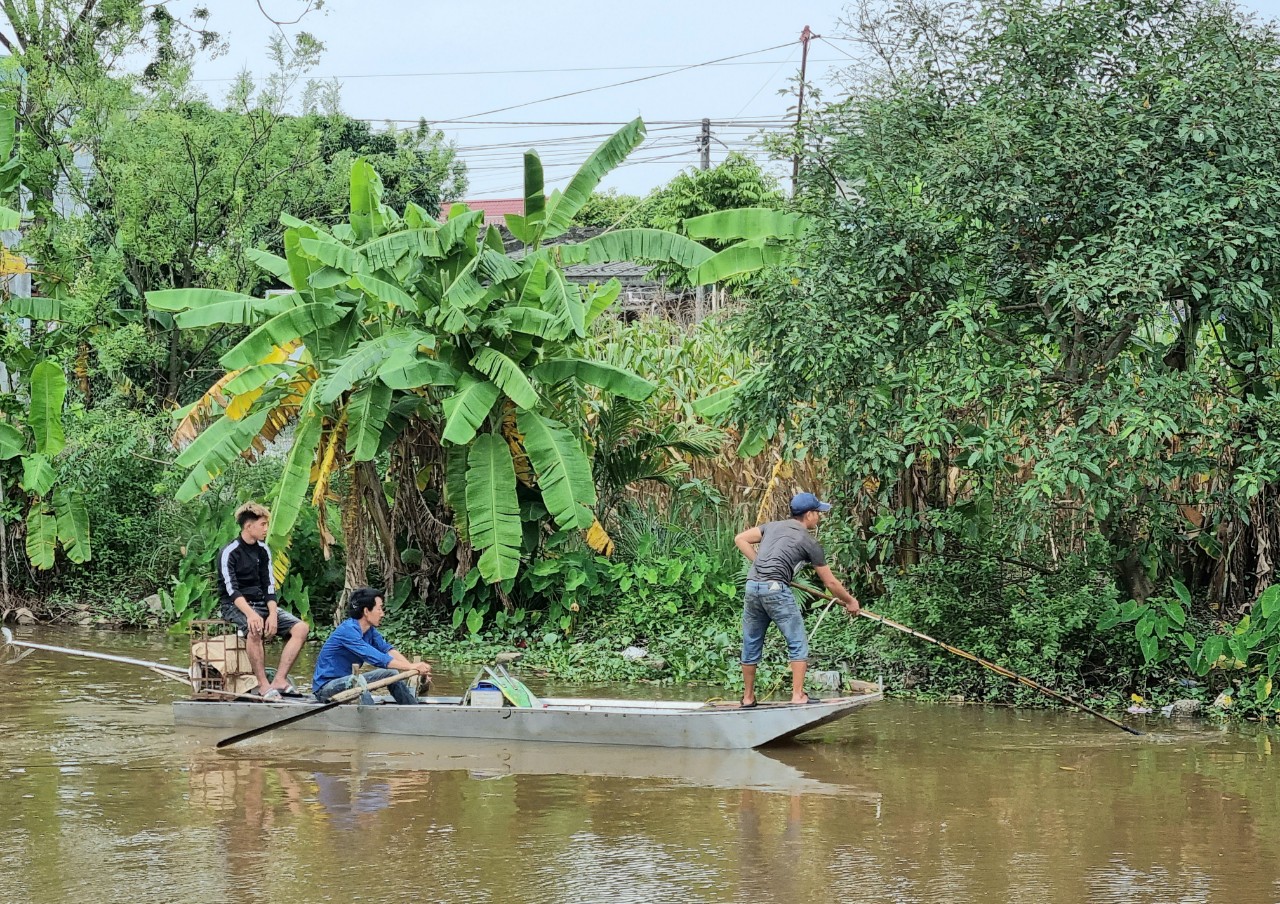Ninh Bình: Thả khoảng 35.000 con cá chép Việt xuống sông Hoàng Long - Ảnh 2.