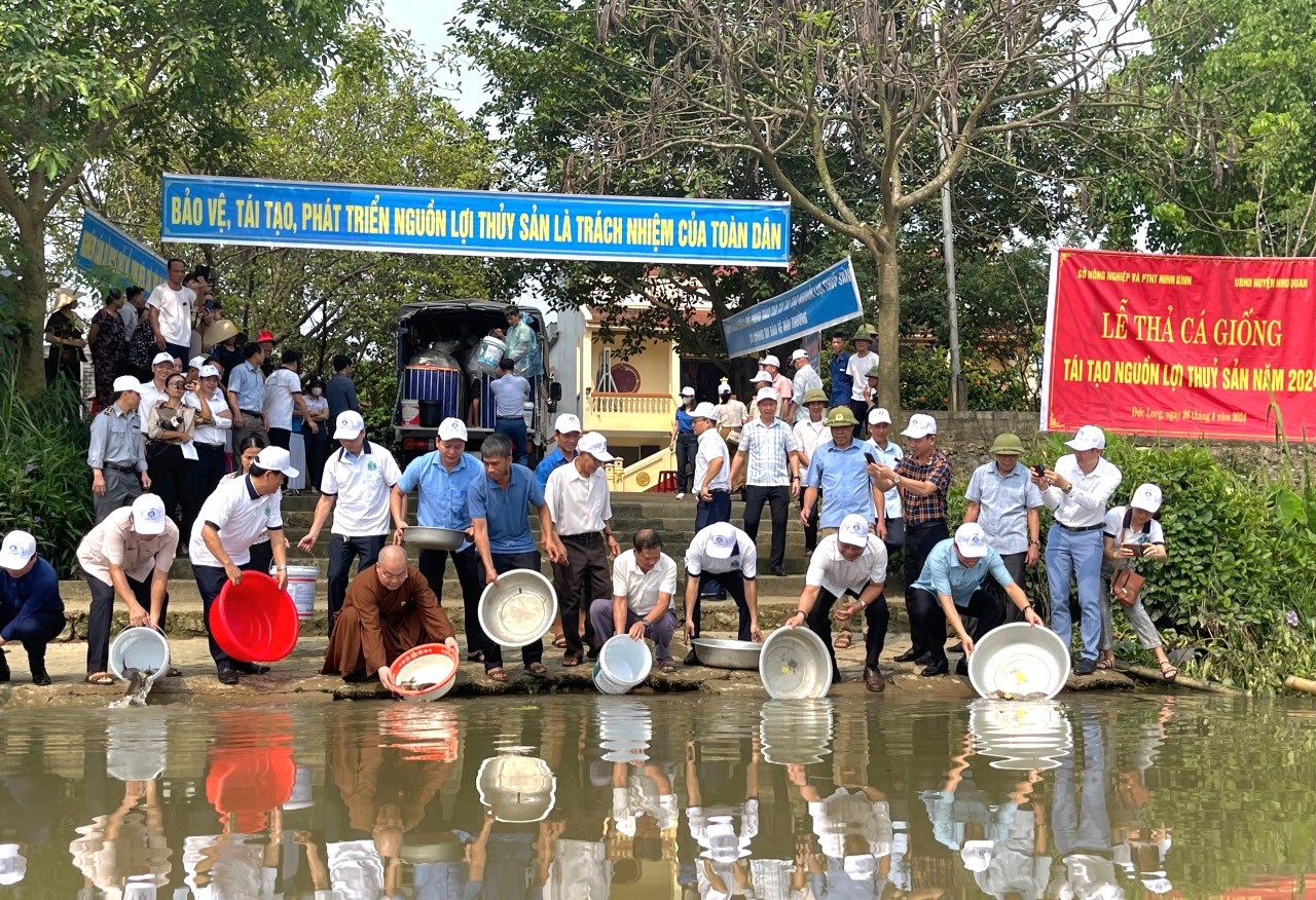 Ninh Bình: Thả khoảng 35.000 con cá chép Việt xuống sông Hoàng Long - Ảnh 3.