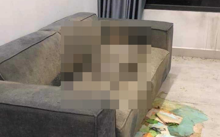 Điều tra vụ phát hiện thi thể chết khô trong chung cư ở Tây Mỗ, Hà Nội