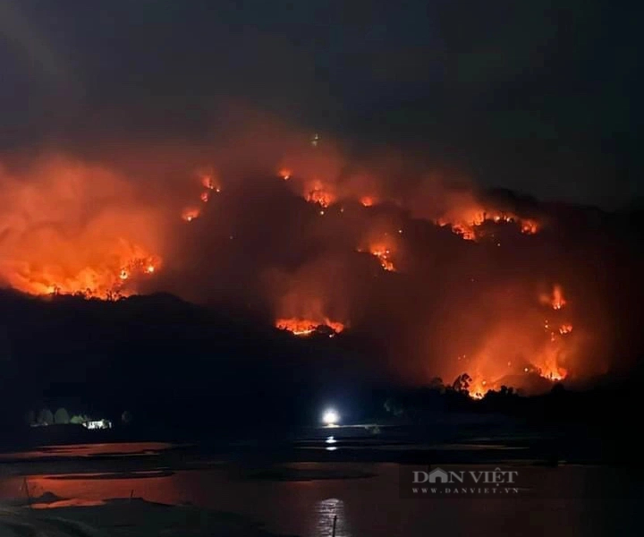 An Giang: Đã khống chế được vụ cháy rừng trên núi Cô Tô- Ảnh 3.