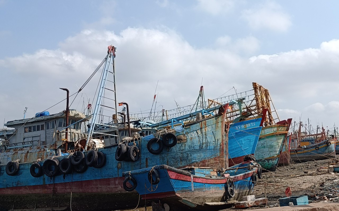 Làm gì để thấy lại những tỷ phú nghề cá, làng tỷ phú nghề cá ở Bà Rịa-Vũng Tàu trong tương lai?