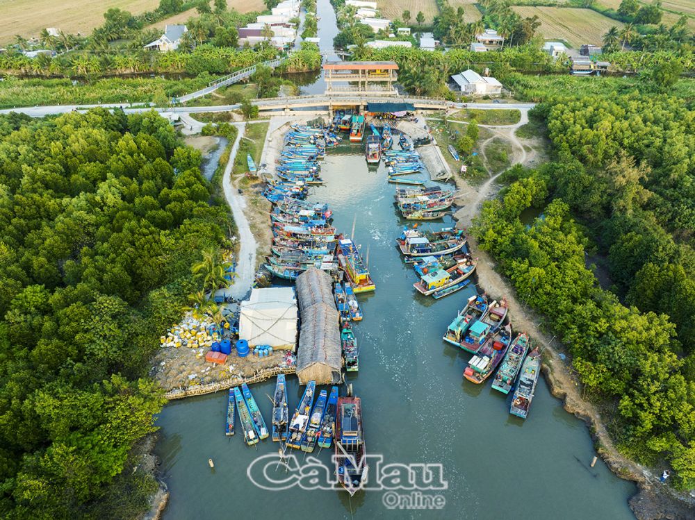 Trong 63 tỉnh, thành phố của Việt Nam, chỉ một tỉnh có 3 mặt giáp biển, sông rạch chằng chịt, đó là tỉnh nào?- Ảnh 3.