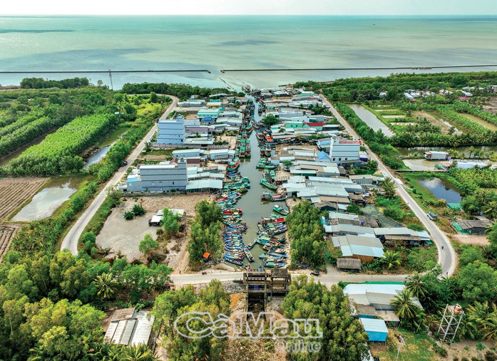 Trong 63 tỉnh, thành phố của Việt Nam, chỉ một tỉnh có 3 mặt giáp biển, sông rạch chằng chịt, đó là tỉnh nào?- Ảnh 4.