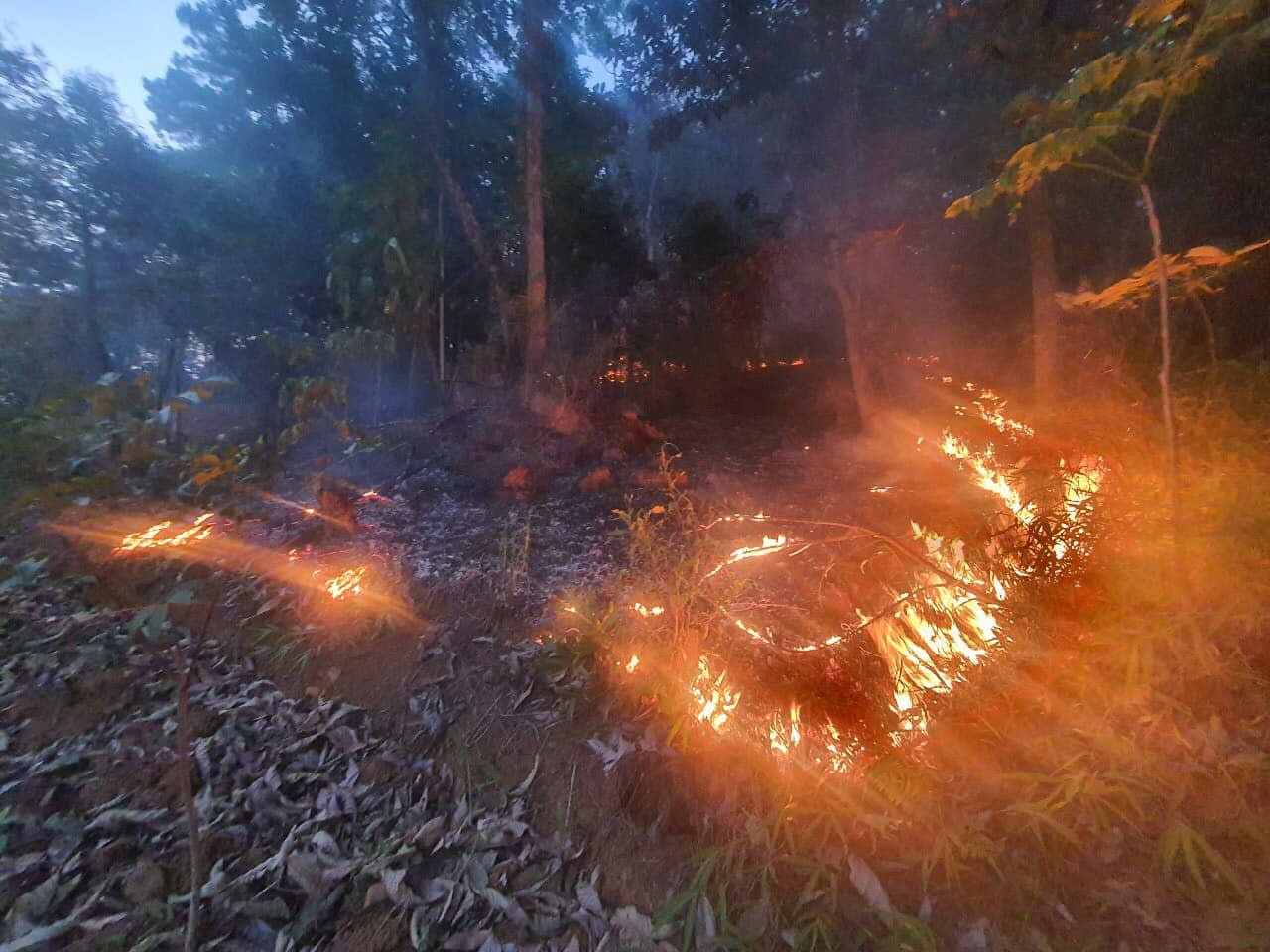 Cháy rừng ở Hà Giang khiến 2 cán bộ kiểm lâm tử vong- Ảnh 1.