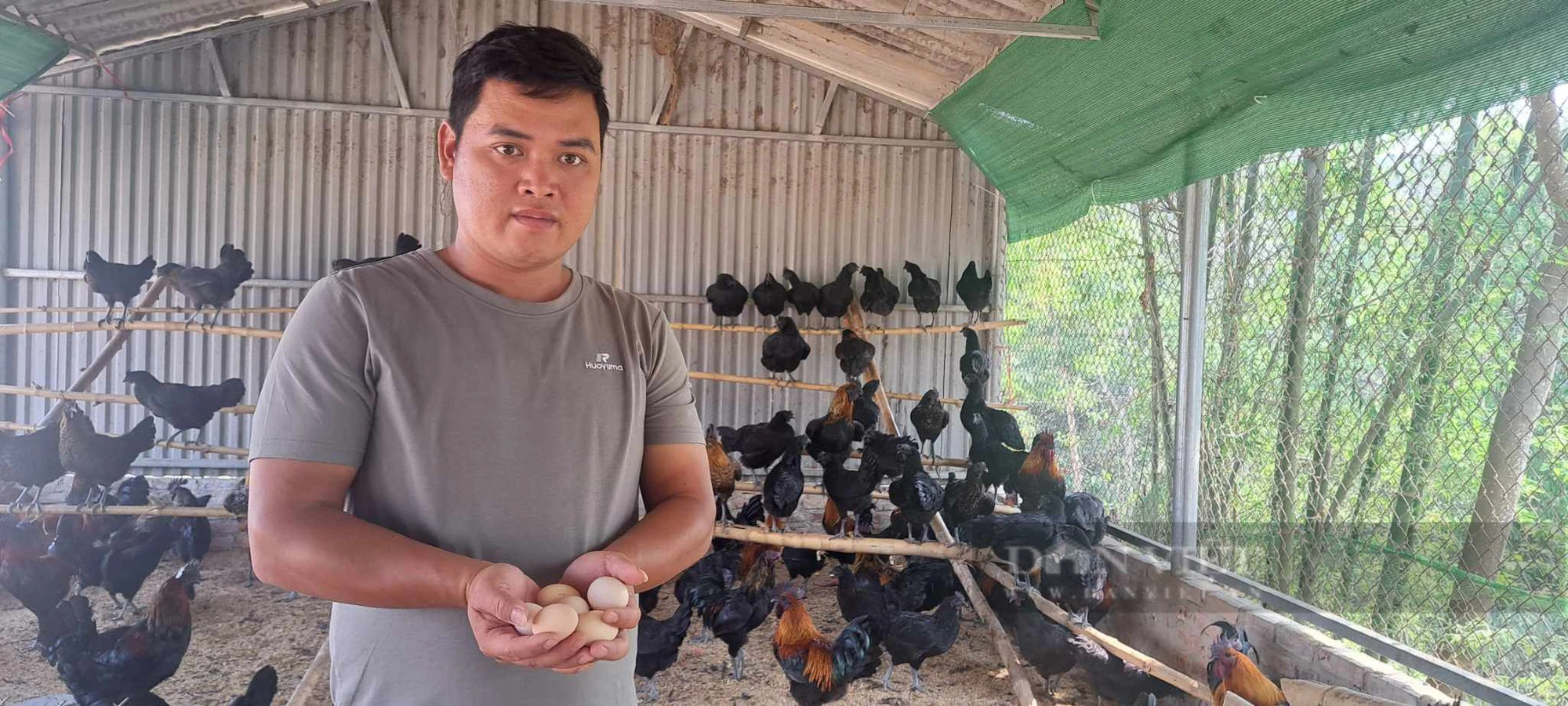 Nuôi đàn gà xương đen đẻ "trứng vàng" của chàng trai người Thái ở Điện Biên- Ảnh 11.