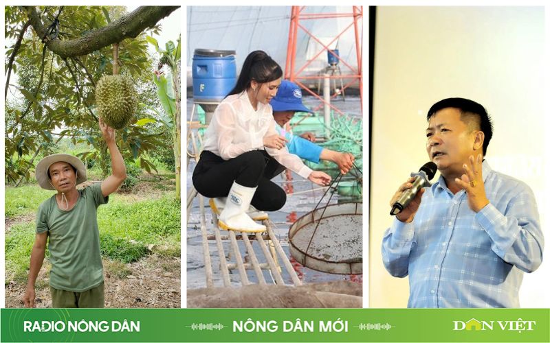 Nông dân mới ngày 02/05/2024- Ảnh 1.