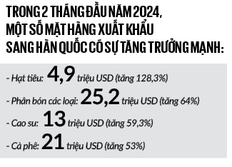 Loại quả là kho chứa vitamin C của Việt Nam đang được hoàn tất các thủ tục để xuất khẩu sang Hàn Quốc- Ảnh 2.
