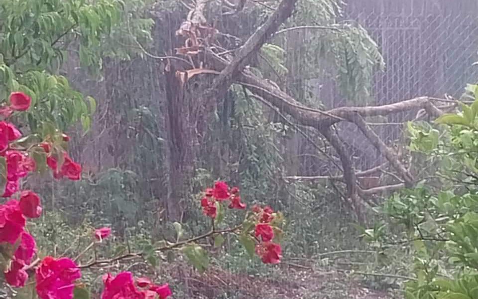 Mưa giông, gió lốc bất ngờ gây tốc mái nhiều nhà, đổ cây cối ở Gia Lai