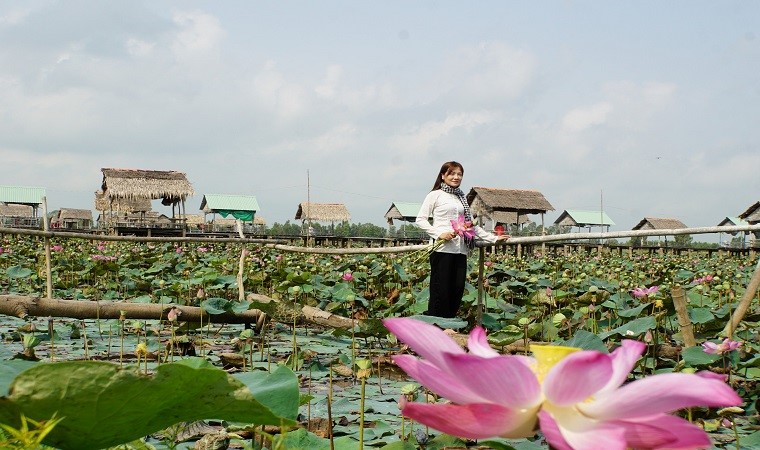 Những điểm ngắm sen tuyệt đẹp ở Đồng Tháp dịp lễ 30-4 và 1-5- Ảnh 3.