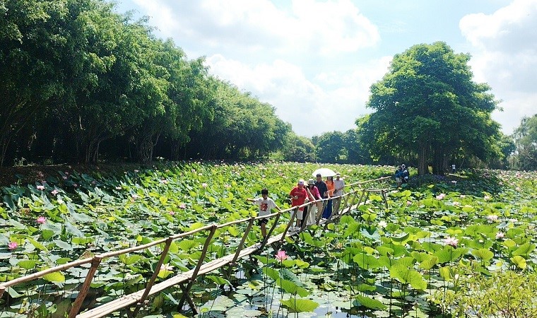 Những điểm ngắm sen tuyệt đẹp ở Đồng Tháp dịp lễ 30-4 và 1-5- Ảnh 38.