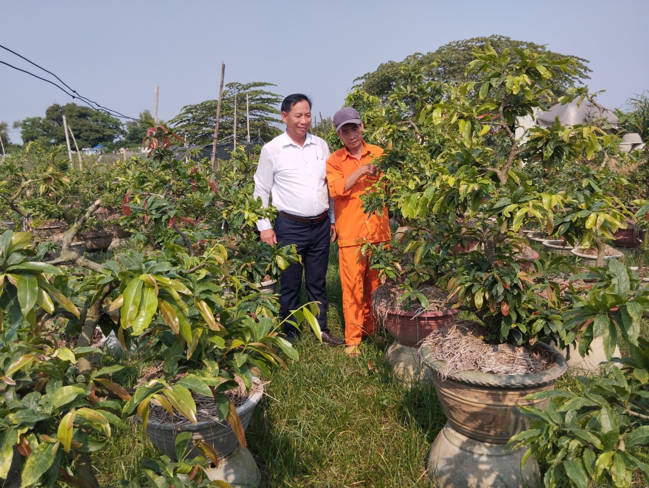 Chủ tịch Hội Nông dân một xã ở Bình Định được Trung ương Hội Nông dân Việt Nam tặng Bằng khen- Ảnh 1.