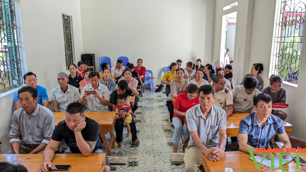 Hội Nông dân tỉnh Lào Cai: Mở lớp dạy trồng, khai thác, chế biến và bảo quản sản phẩm quế cho nông dân- Ảnh 1.