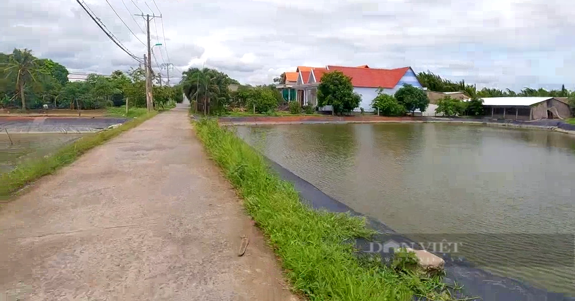 Huyện Nhà Bè hoàn thành nhiều tiêu chí huyện nông thôn mới nâng cao, gắn với đô thị hóa- Ảnh 1.