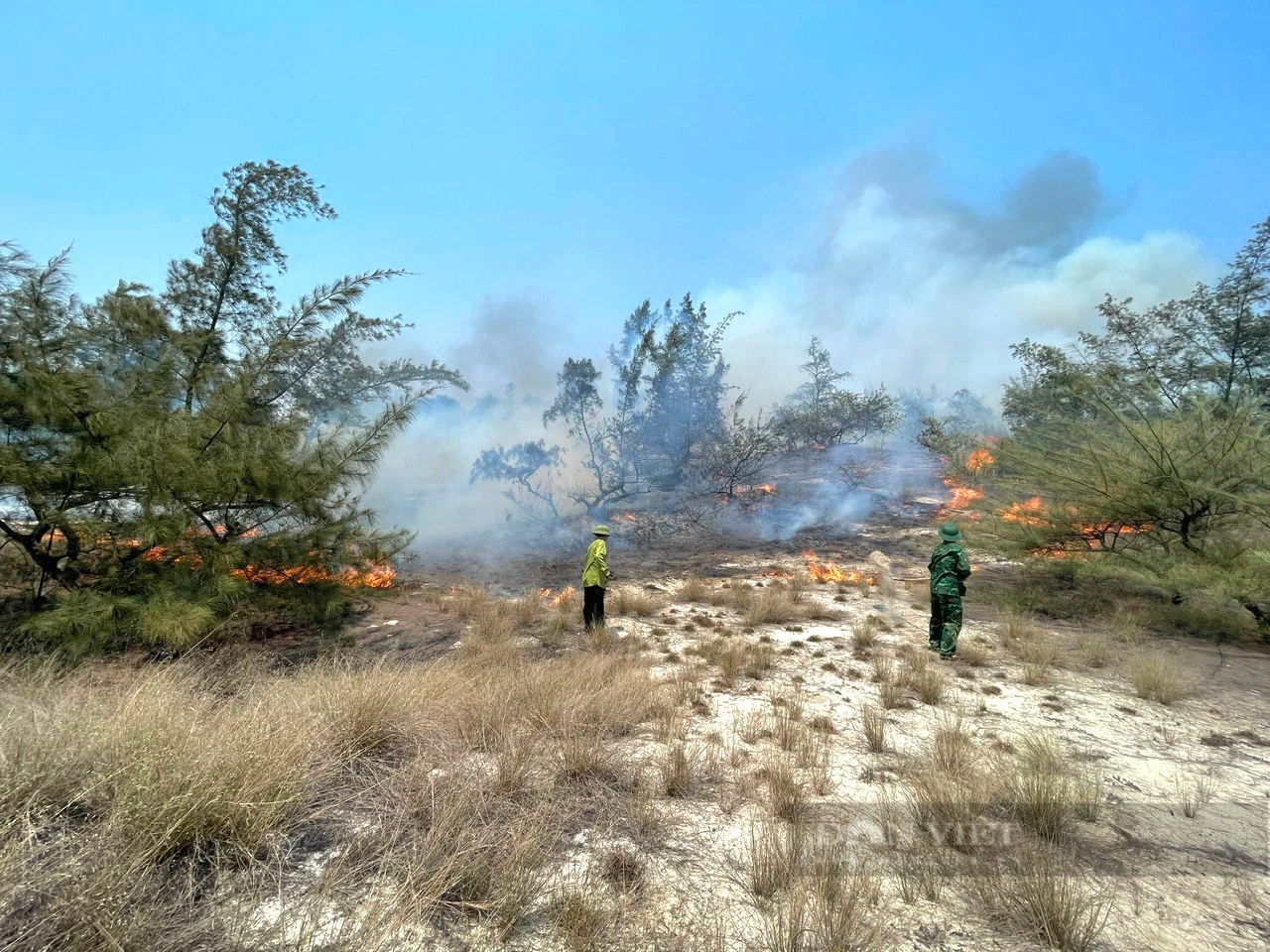 Cháy rừng ven biển Quảng Bình, 6 tiếng đồng hồ vẫn chưa dập được lửa- Ảnh 1.