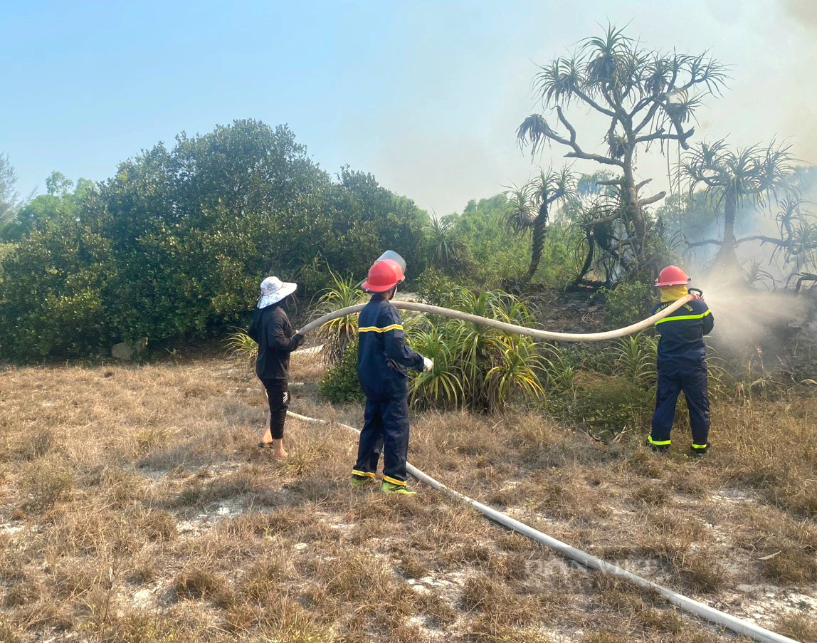 Cháy rừng ven biển Quảng Bình, 6 tiếng đồng hồ vẫn chưa dập được lửa- Ảnh 2.