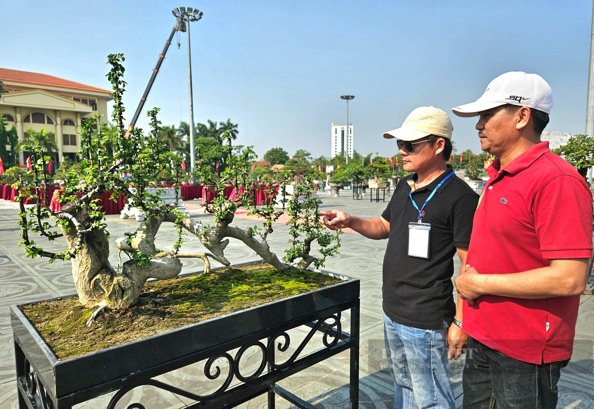 Cây cổ thụ làm cảnh đang hot có tên "Đường Trường Sơn" gây xôn xao một triển lãm ở Quảng Bình- Ảnh 4.