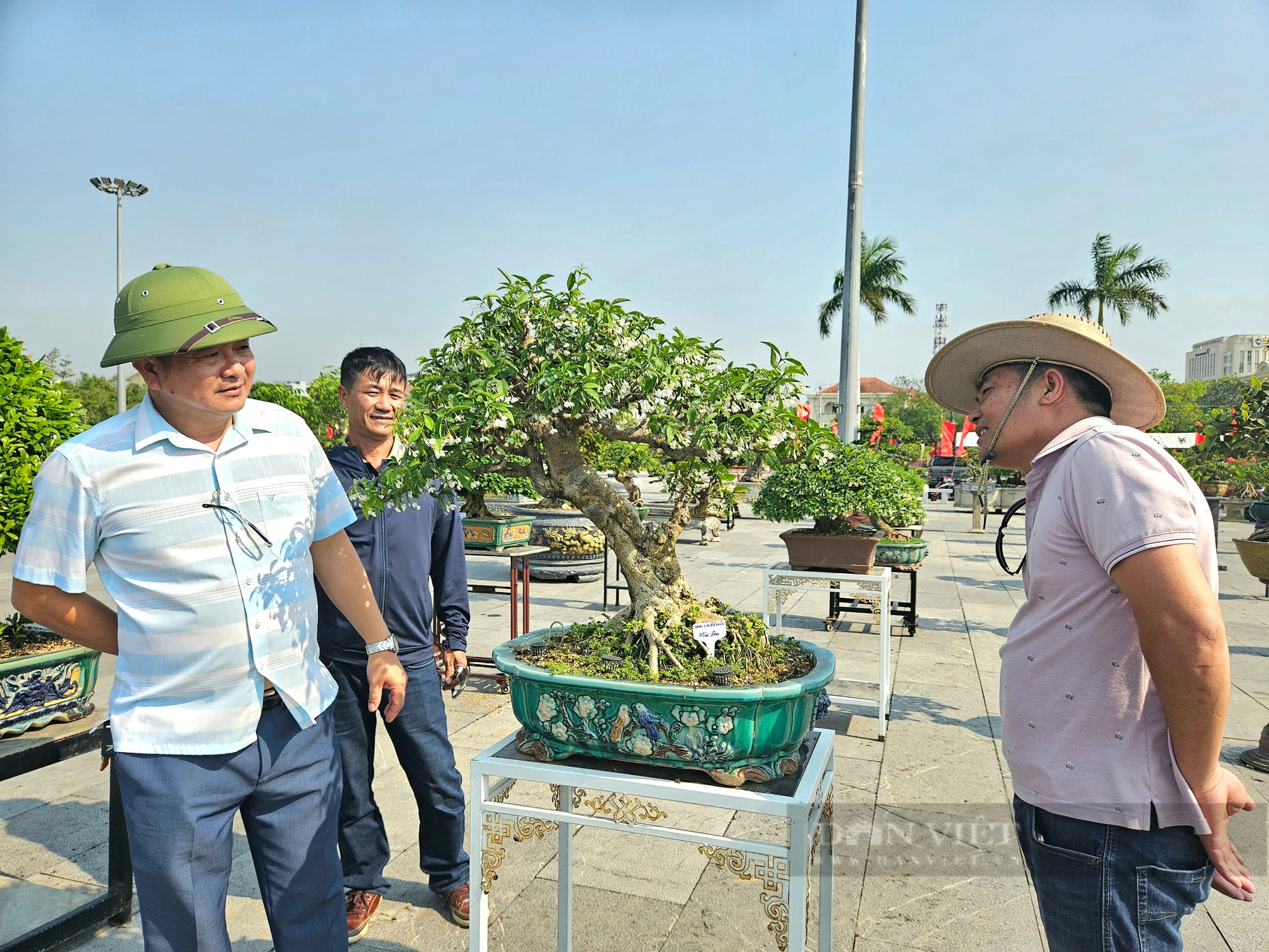 Cây cổ thụ làm cảnh đang hot có tên "Đường Trường Sơn" gây xôn xao một triển lãm ở Quảng Bình- Ảnh 6.