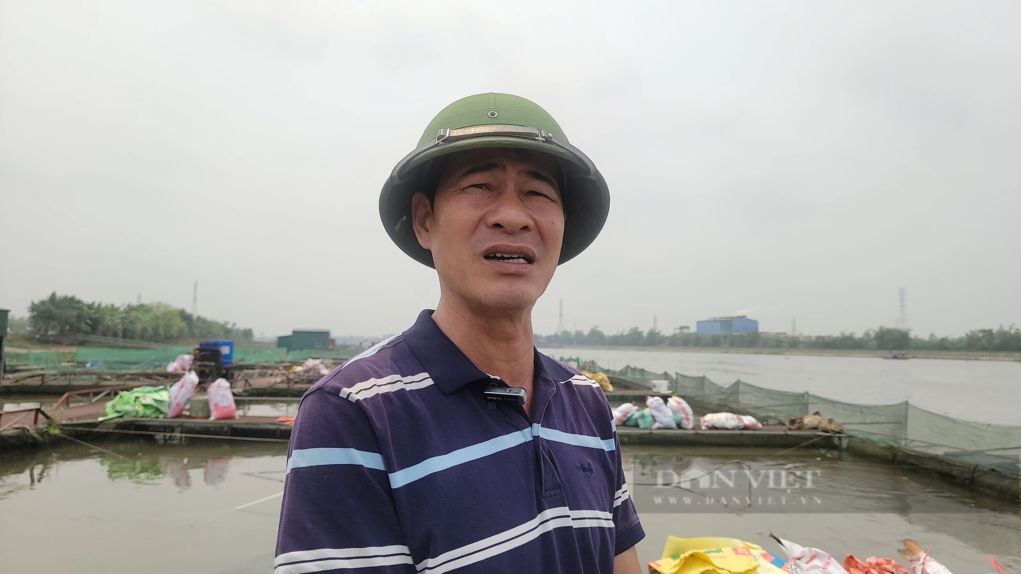 Trăm tấn cá chết bất thường trên sông Thái Bình ở TP Hải Dương, dân buồn hụt hẫng, có nhà "trôi tiền tỷ"- Ảnh 8.