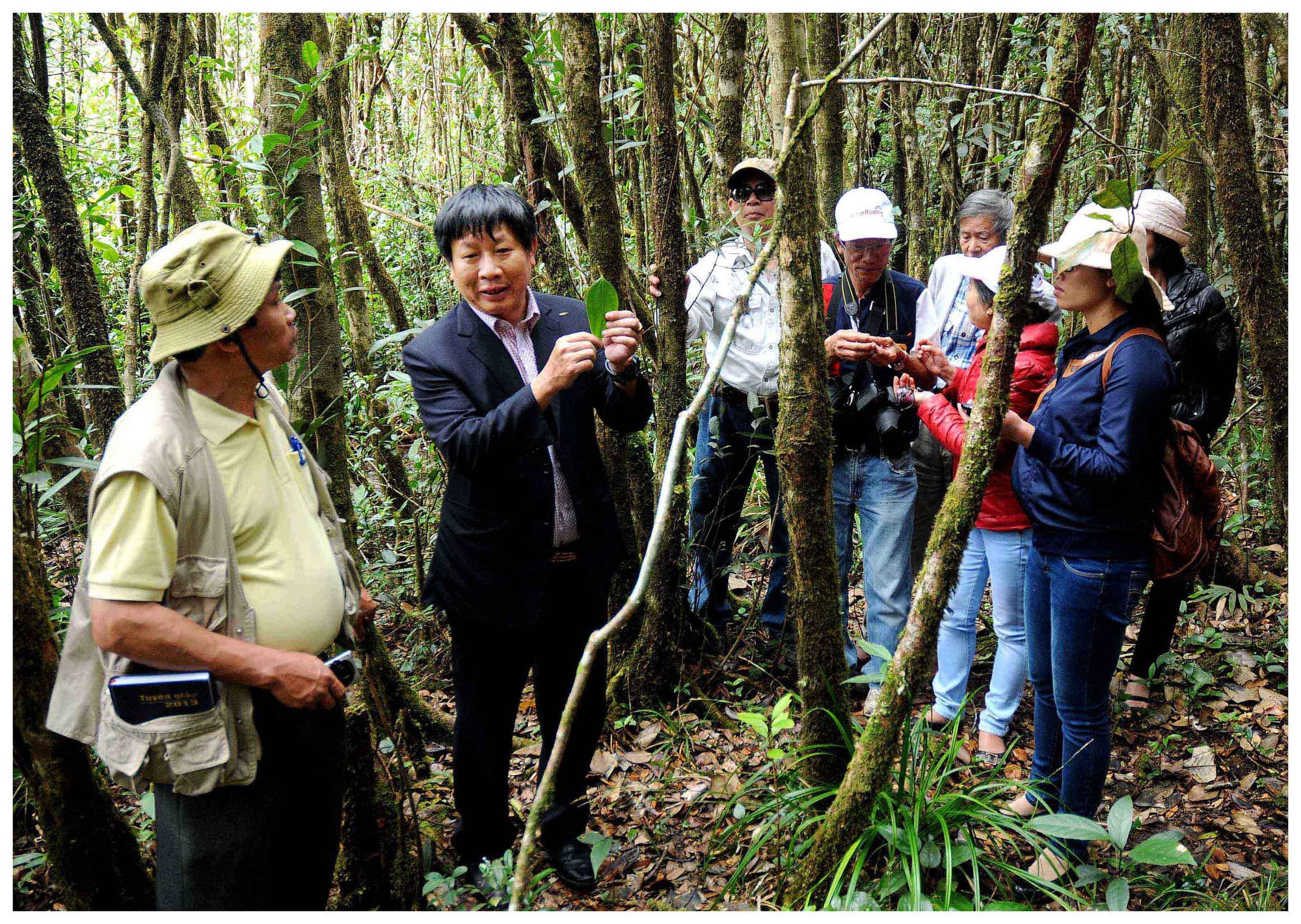 Dân tình đeo ba lô vô khu rừng mang tên 2 ngọn núi cao nhất tỉnh Lâm Đồng, cách Đà Lạt 40km- Ảnh 2.