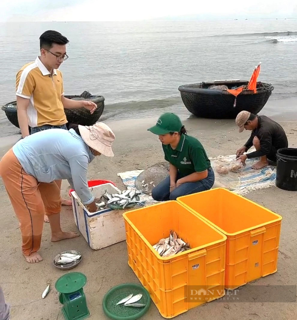 Nữ y sĩ Đà Nẵng khởi nghiệp với món ăn làm từ một loài cá, tạo việc làm, thu nhập tốt cho nhiều lao động- Ảnh 2.