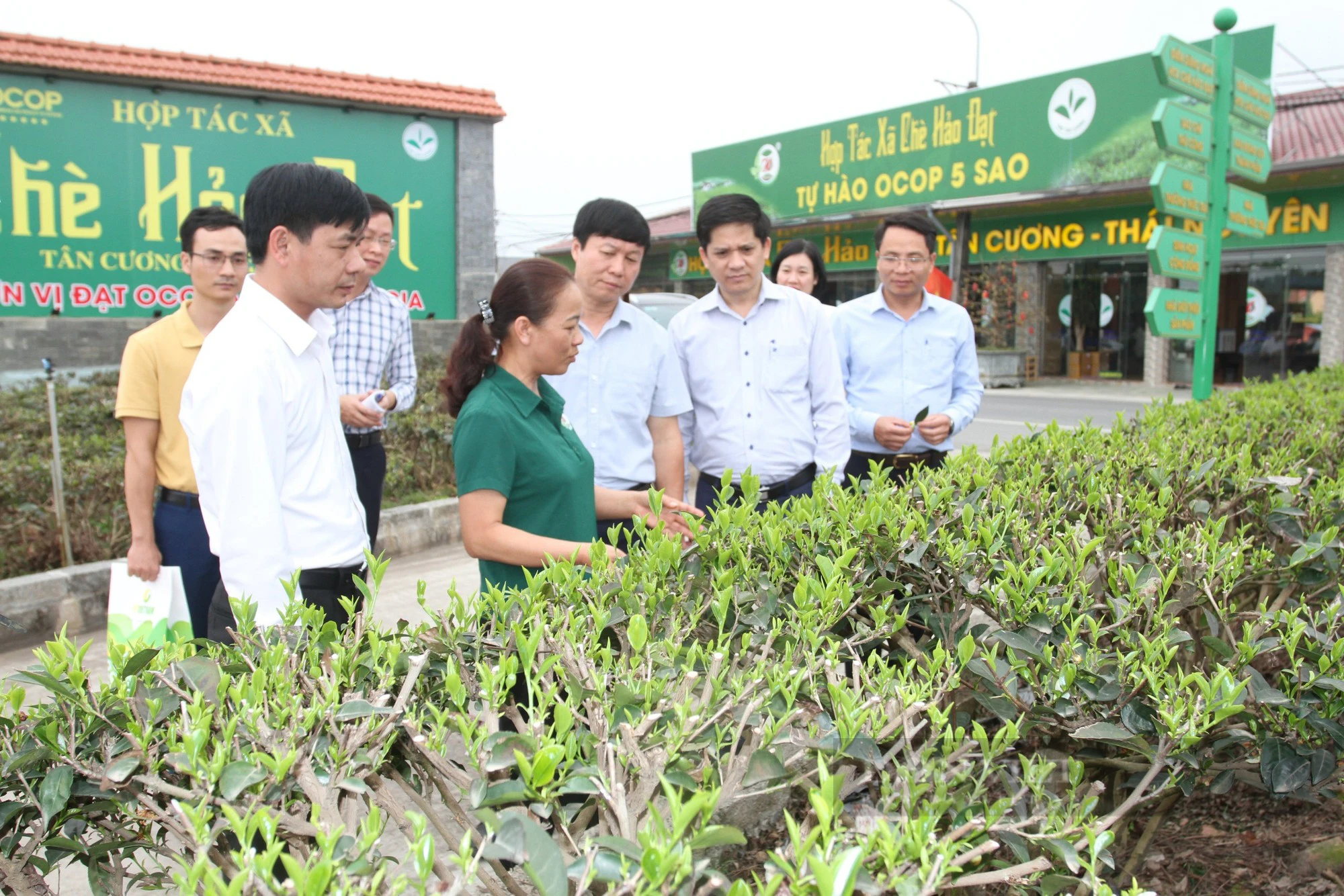 Nâng cao nhận thức, trách nhiệm của hội viên, nông dân đối với công tác đảm bảo an ninh kinh tế- Ảnh 1.