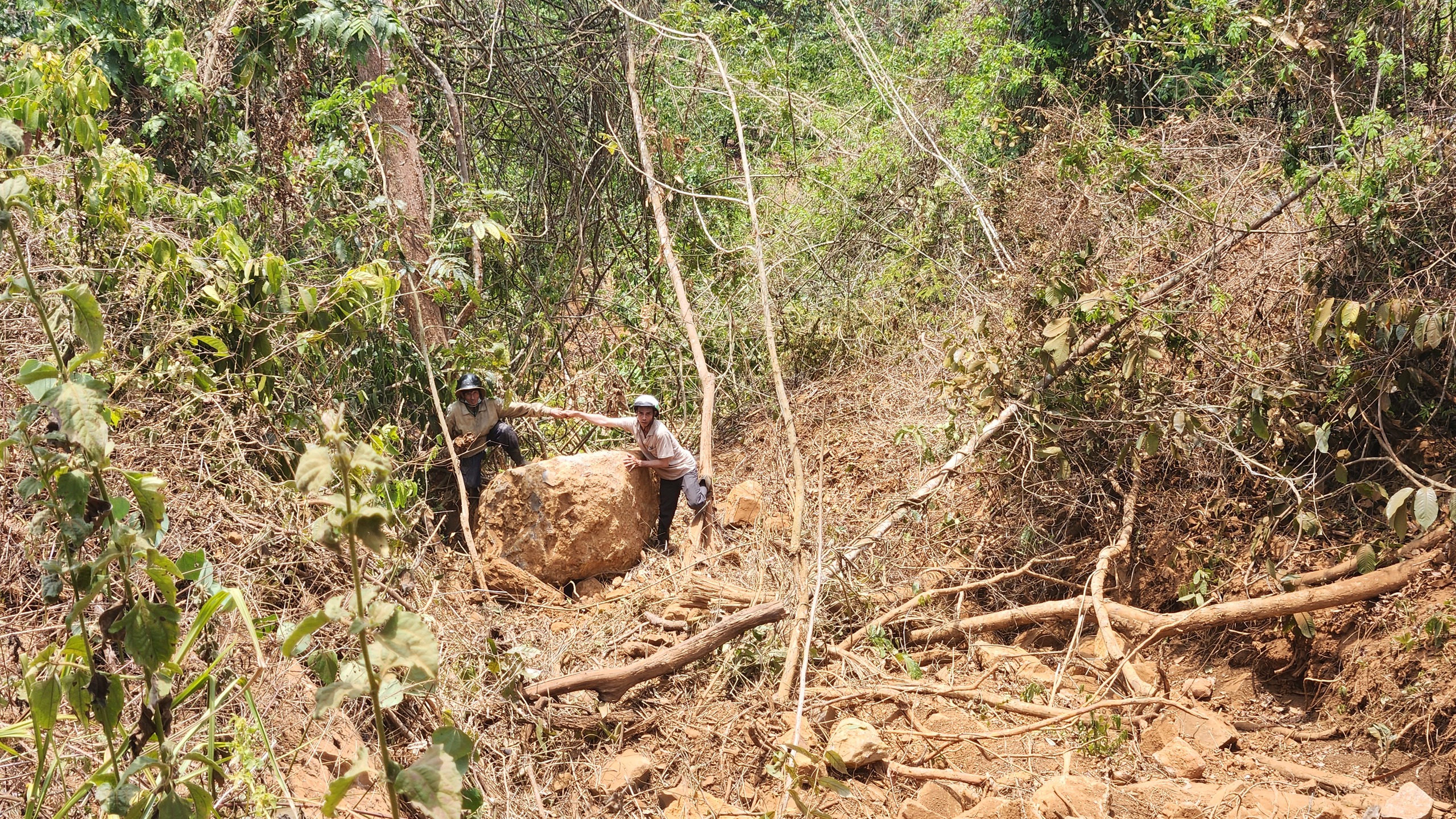 Lâm Đồng: Yêu cầu tạm dừng dùng vật liệu nổ tại mỏ đá gây dập nát cây trồng, chòi canh của nông dân- Ảnh 6.